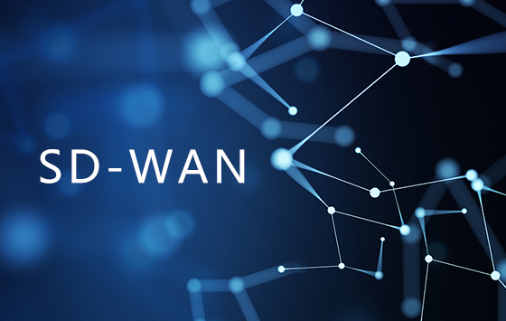 SD-WAN技術(shù)所具備的優(yōu)勢大大為IT團(tuán)隊減少不必要的麻煩